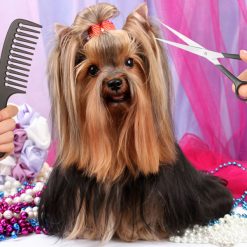 Productos de Peluquería