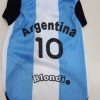 Camiseta Argentina