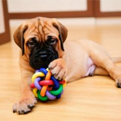 Juguetes para Perros