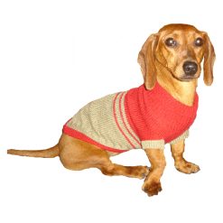 Ropa para Perro